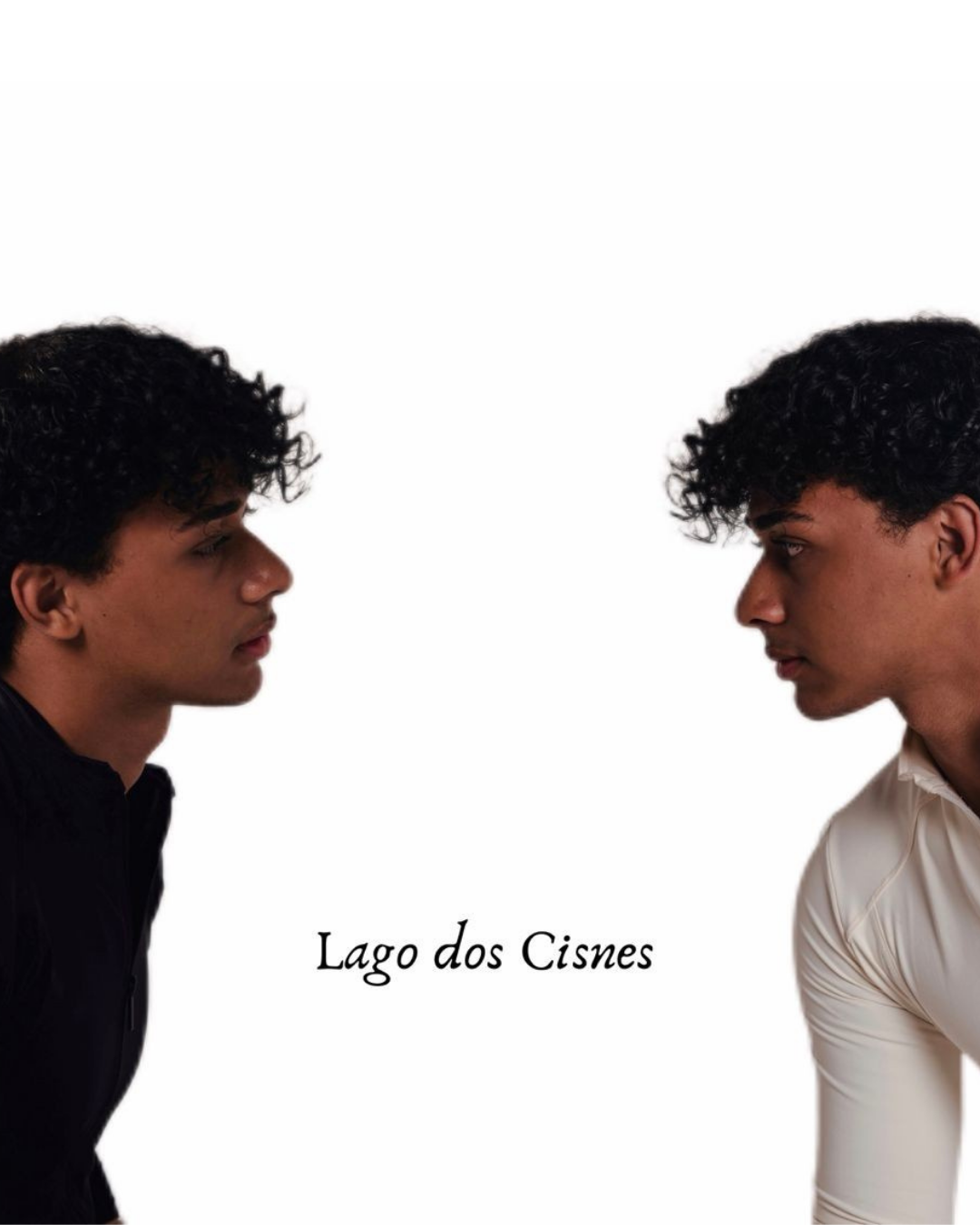 Banner Lago dos Cisnes Mobile