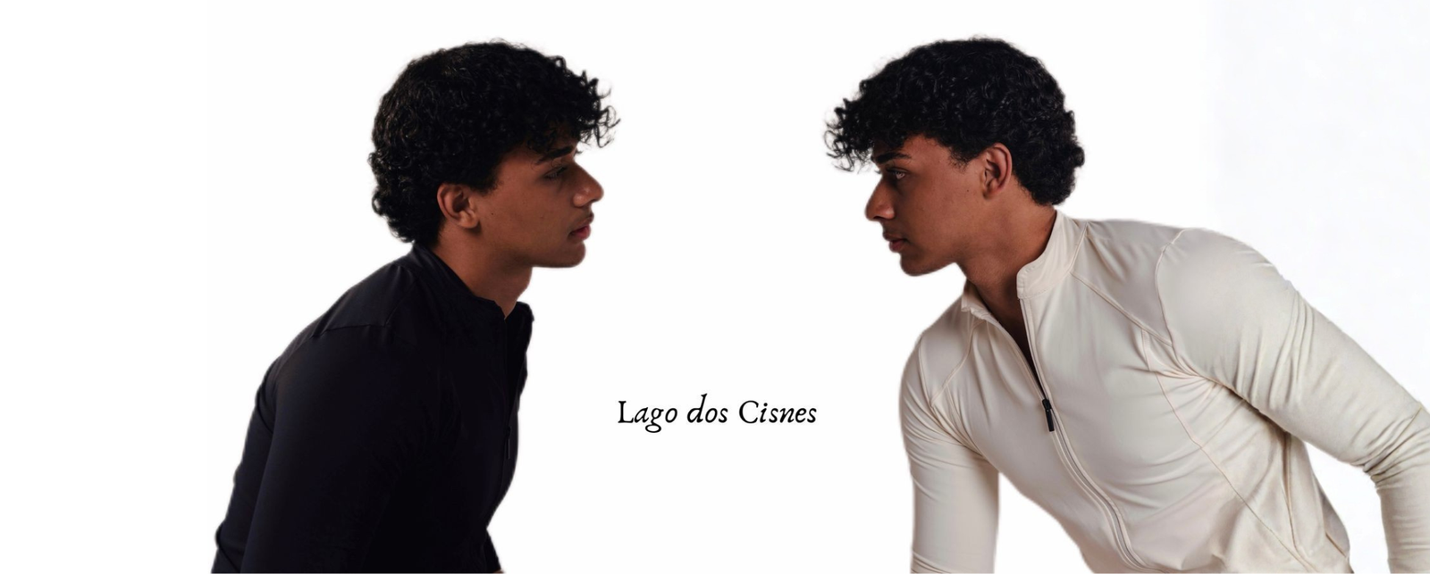 Banner Lago dos Cisnes